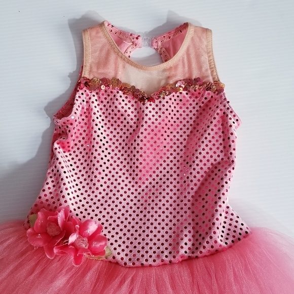 A WISH COME TRUE Gala Pink Ballet Leotard Tutu Dress Dance - Picture 5 of 15